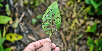 آموزش کشاورزان